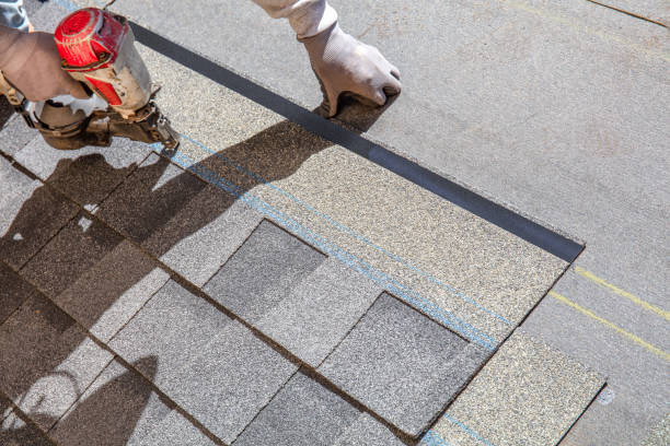 Best Storm Damage Roof Repair  in Fort Meade, FL